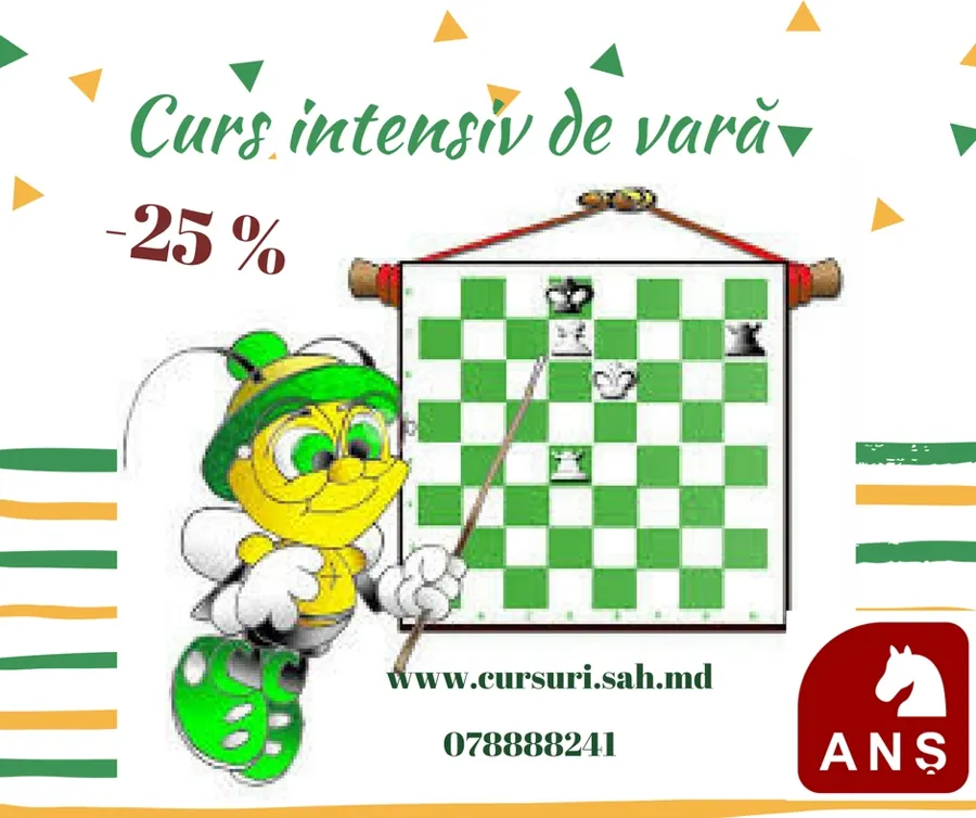 Chess Summer Intensive Course for children 5-12 years old.(RO)