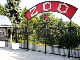 Кишиневский зоопарк будет закрыт на неделю.