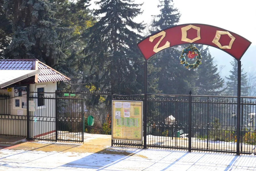 Кишиневский зоопарк ждет в гости.