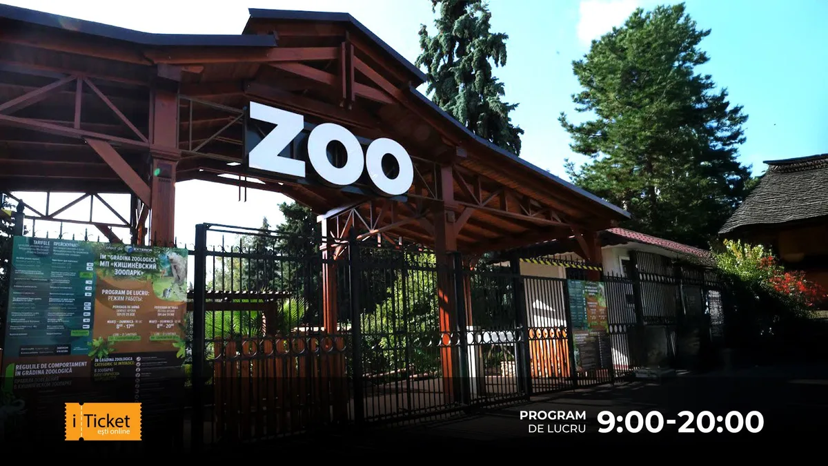 Zoo Garden