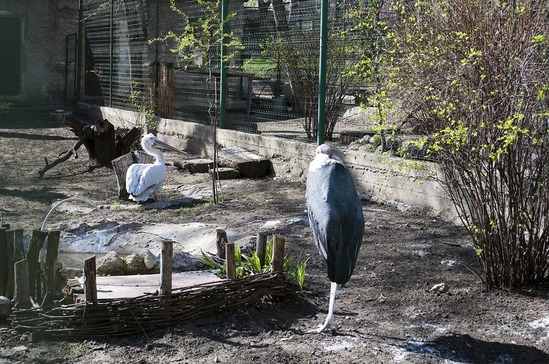 Grădina Zoologică Chișinău