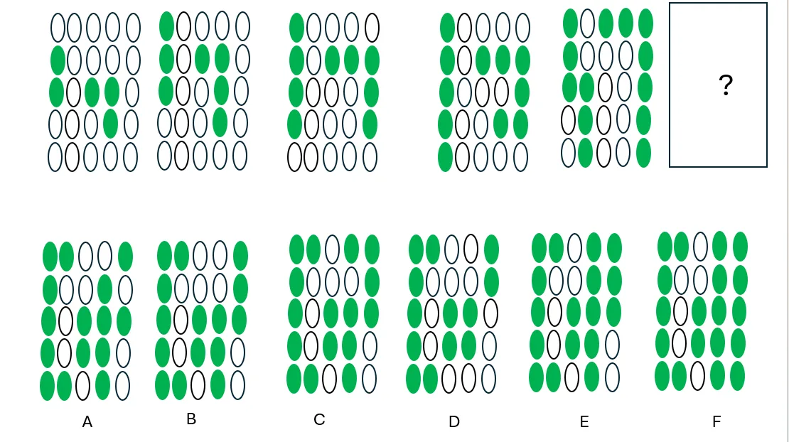 IQ Puzzle