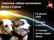 О собаках-космонавтах Белке и Стрелке через 55 лет.